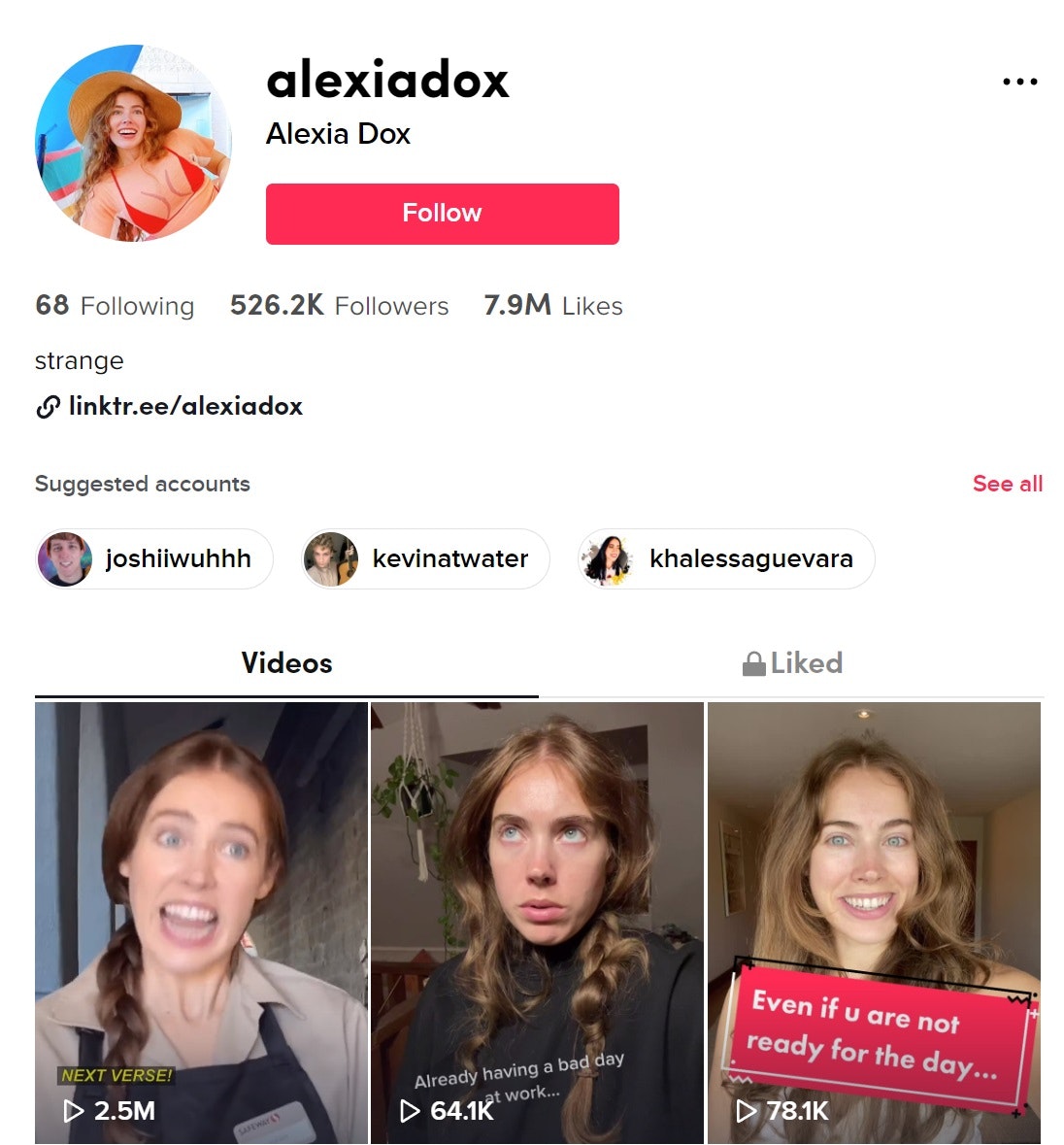 tiktok bio description